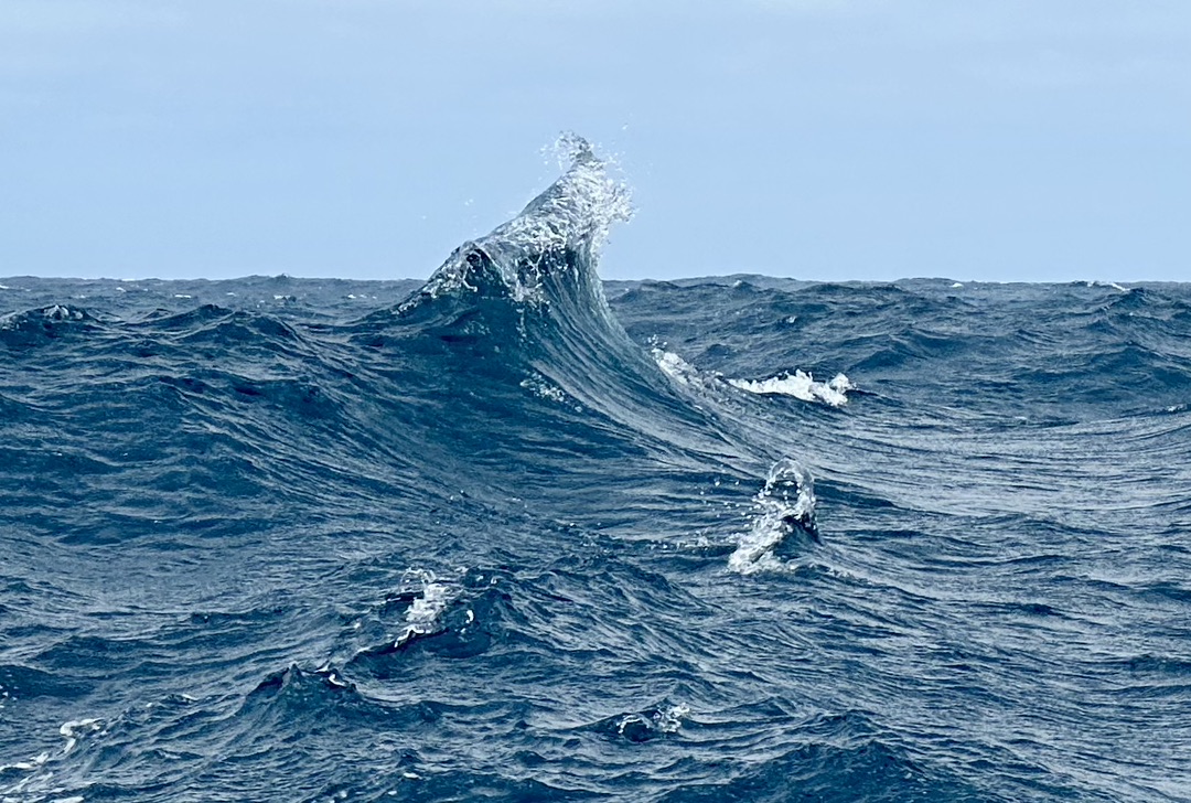 A curling wave in blue open-ocean water